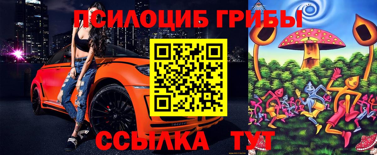Саров  Галлюциногенные грибы GOLDEN TEACHER  Вход с VPN 