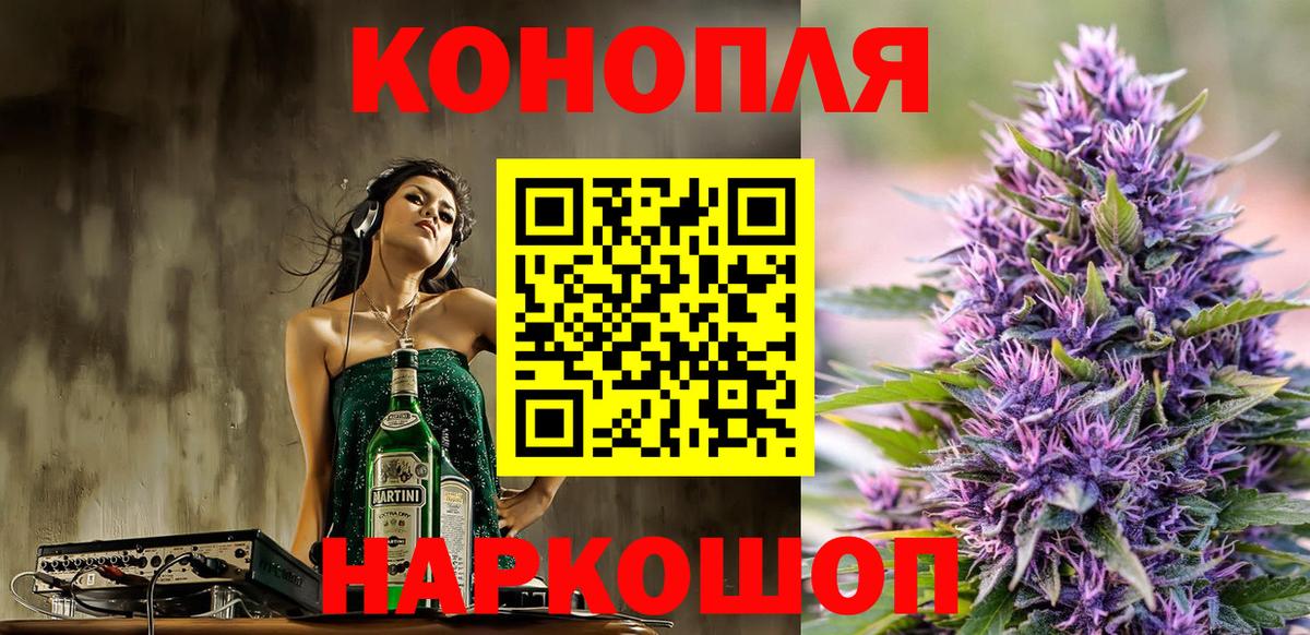 Бошки Шишки план Саров